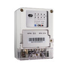 RF-Lora AMI Solutions GPRS Integration Smart Collection Program Wireless Data Concentrator