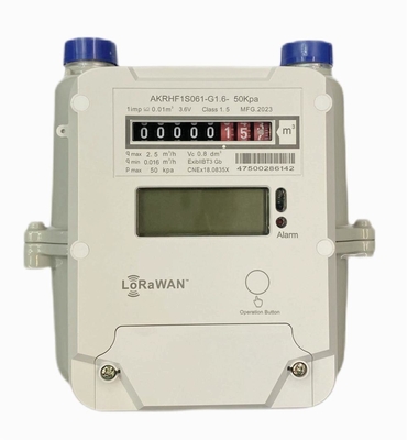 STS AMR Prepaid LORAWAN Gas Meter
